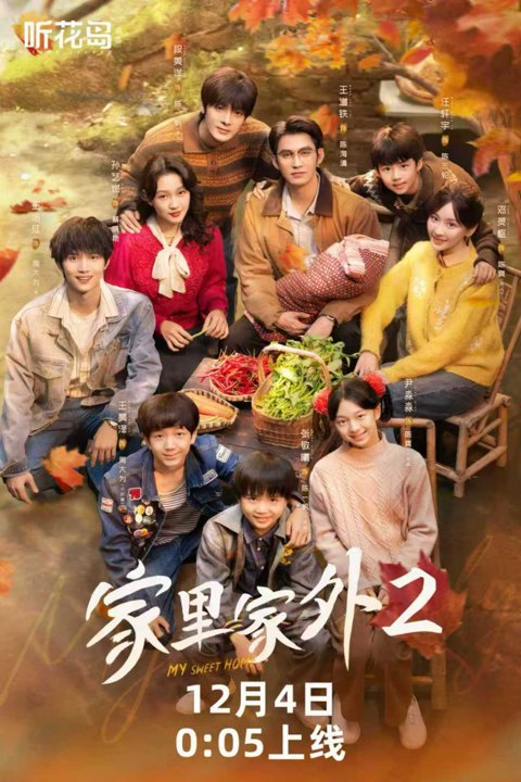 《家里家外2》作品图片