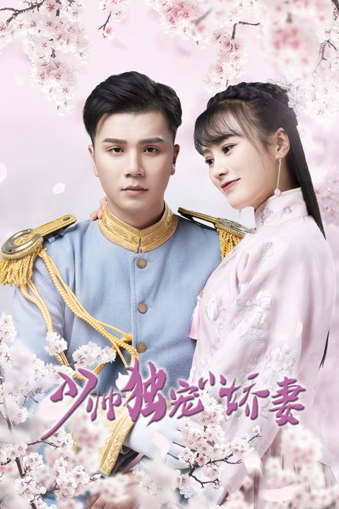 《少帅独宠小娇妻》作品图片