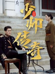 《少帅传奇》作品图片
