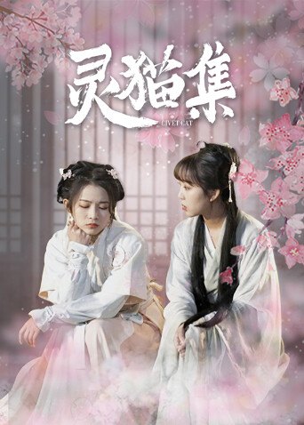《灵猫集》作品图片